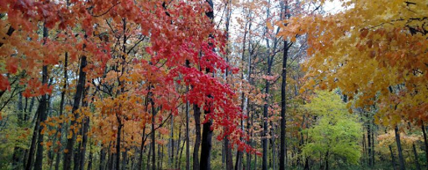 Hidden Paradise Campground