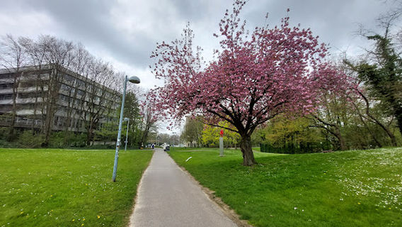 Vrije Universiteit Brussel