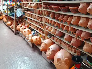 Raquira boyaca