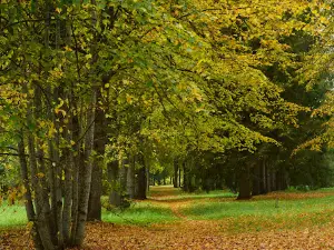 Draudzības parks