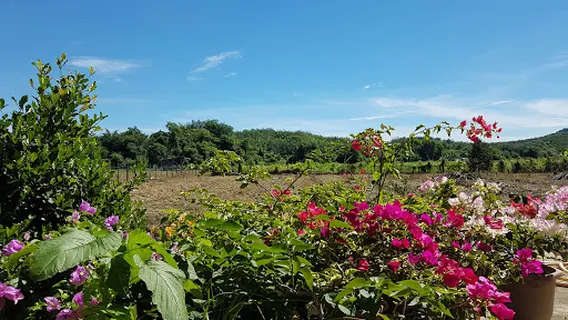Bukit Kusai Trail Strat
