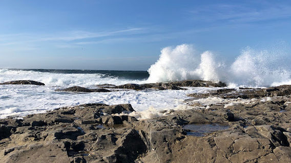 Philip's Garden Trail