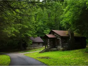 Cabwaylingo State Forest
