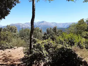 Société du Col de Cricheto