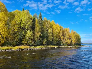 Lentuankoski