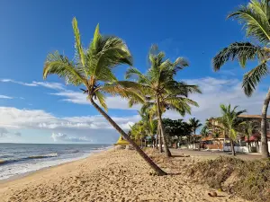 Praia de Alcobaça