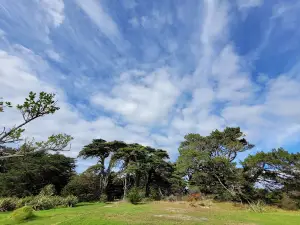 Puponga hilltop walk - Farewell Spit & Puponga Farm Park