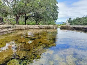 suối nước nóng Đạ Long