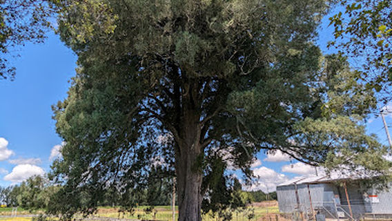 Otorohanga