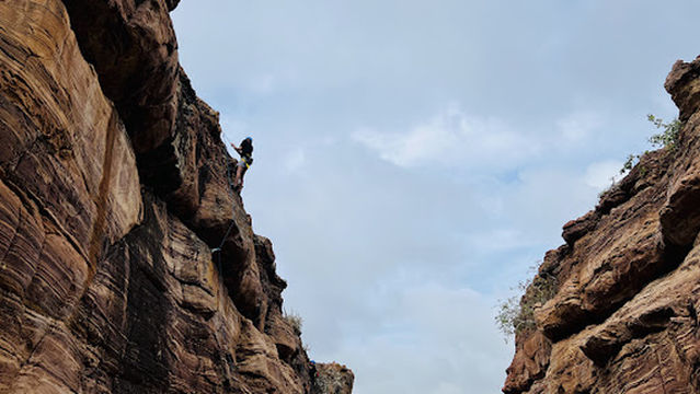 Southface Adventures Munnar