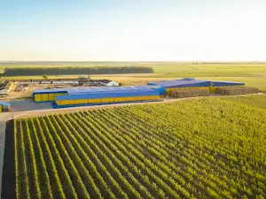 Farm "Gadz"