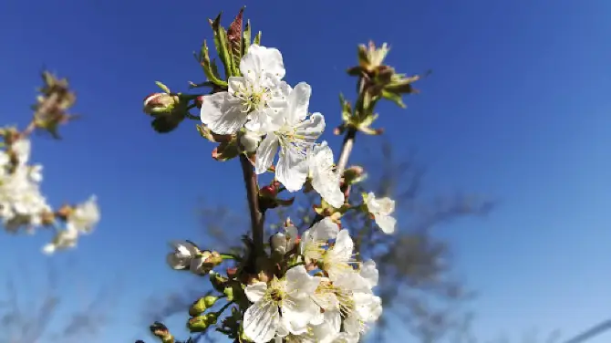 Freizeitgärten "Im Langen Loh"