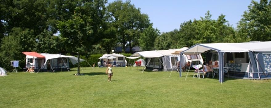 CAMPING BOSZICHT