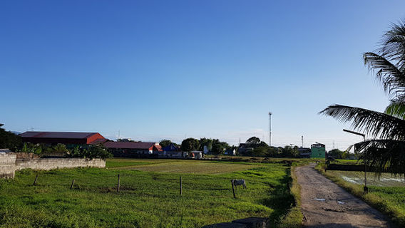 Baras Cockpit Center