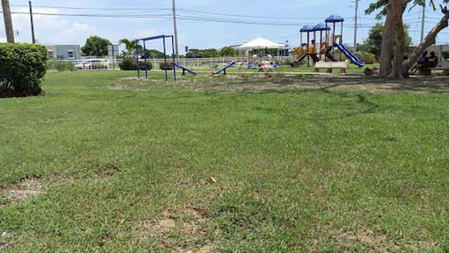 Jacaranda Homes Club House