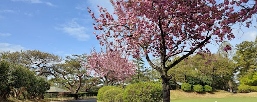 Nagoya Golf Club Course