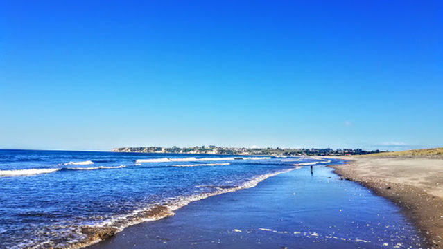 Kaituna Scenic Reserve