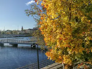 Savonlinnasali Oy