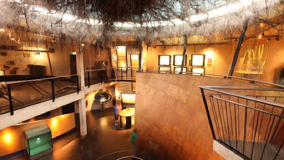 Museonder