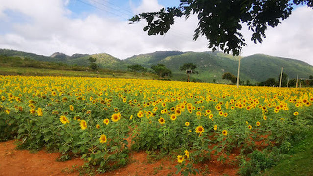 Himavad Gopalaswamy Temple