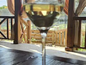 SUNNY SNAILS FARMING