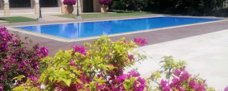 Ktima Oasis