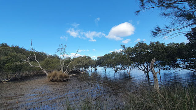 Beach campground CLYDE RIVER