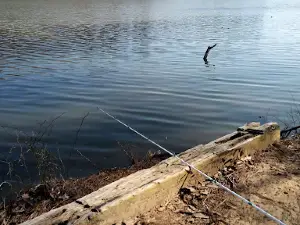 Sulligent Lake