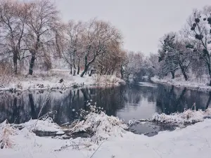 The Lower Part of The City Park