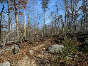 Wood Run Trailhead