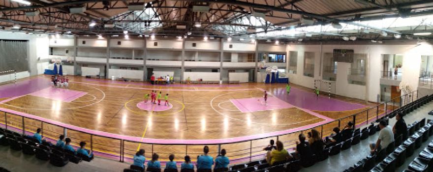 Pavilhão Municipal de Oliveira do Bairro