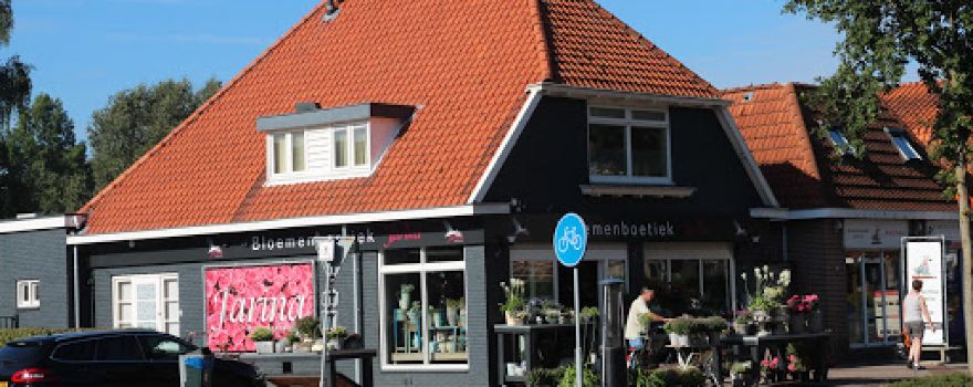 De Wijk