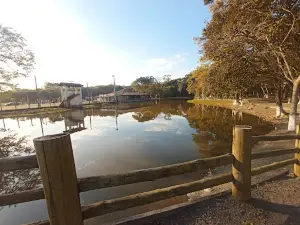 PARK FECOL