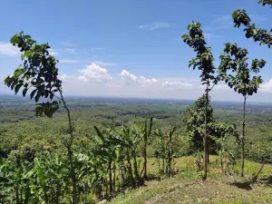 Wisata Religi Gunung Pucangan