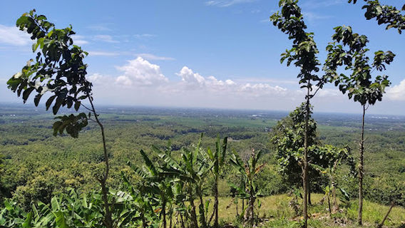 Wisata Religi Gunung Pucangan