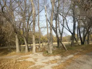 Roshcha
