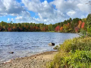 Pfeiffer Lake Campground