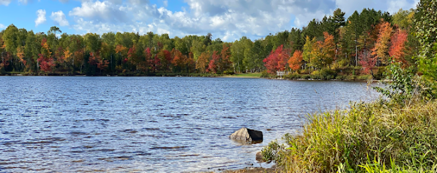 Pfeiffer Lake Campground