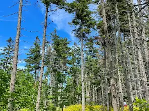 Arisaig Provincial Park