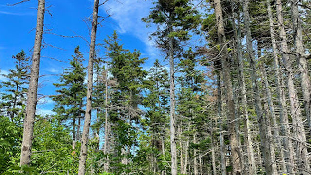 Arisaig Provincial Park