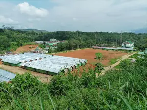 Parks Hours Godang Red Bridge
