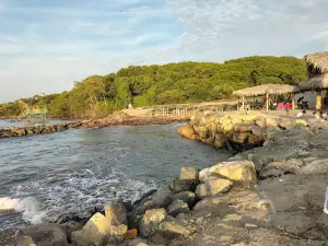 Paseo Comunitario Manglar La Boca