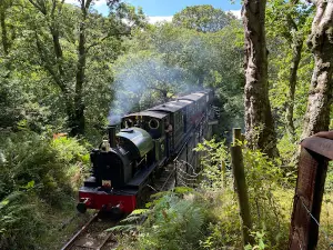 Dolgoch Waterfall