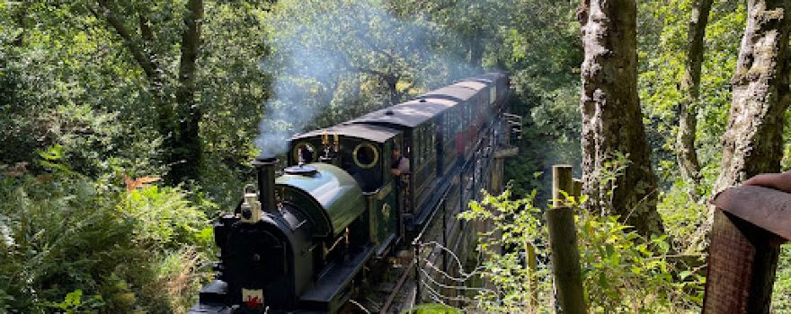 Dolgoch Waterfall