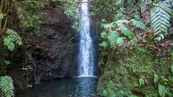 Levada do Moinho