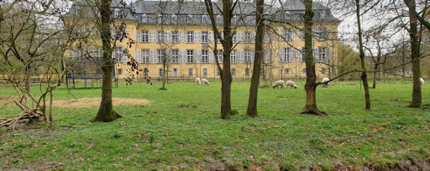 Schloss 6
