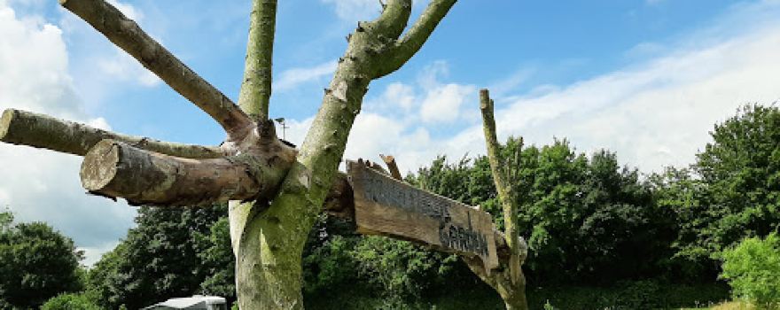 Landgoed de Camping & Dorps/campingwinkel