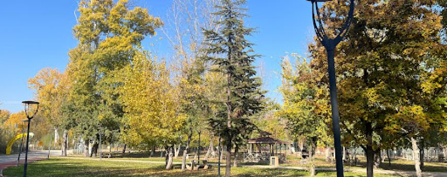 Eskisehir Forest Nursery