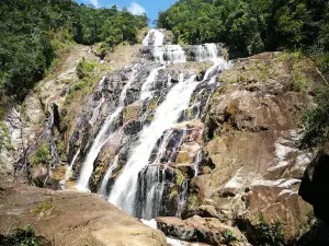 Hutan Lipur Chemerong (Tropical Forest)