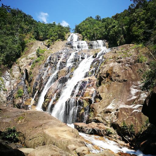 Hutan Lipur Chemerong